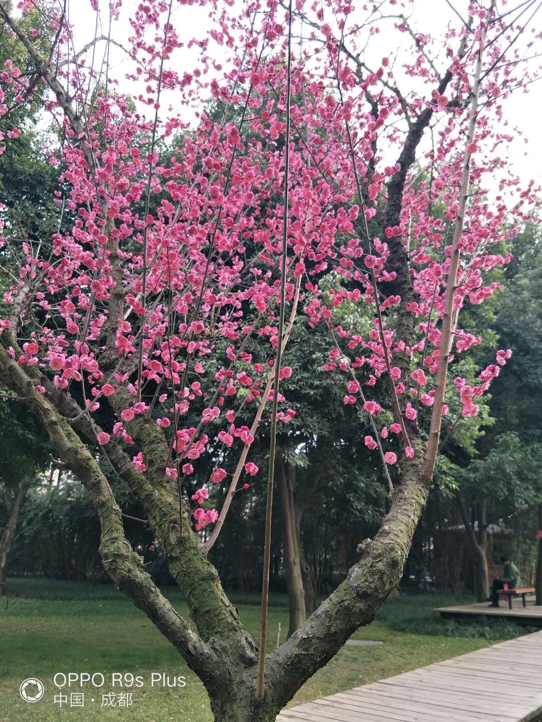 微信图片_20190131174035.jpg