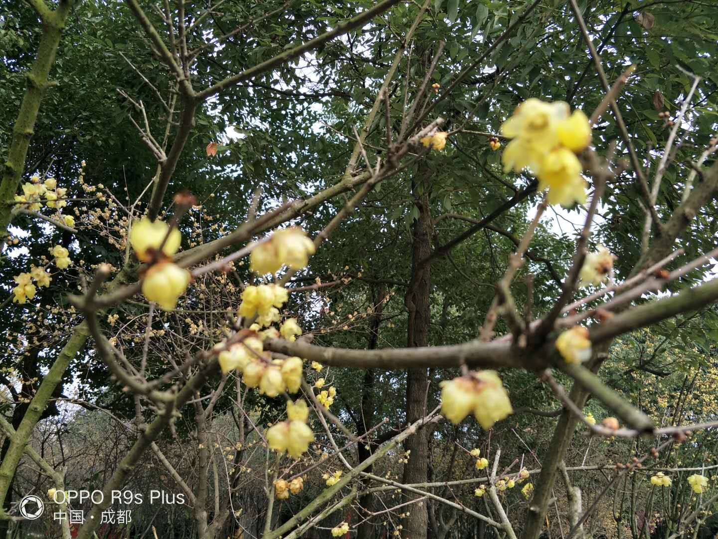 微信图片_20190131174045.jpg