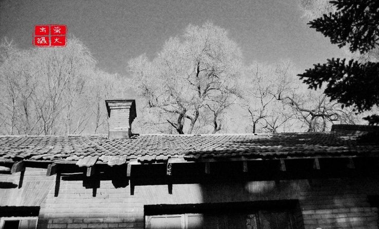 微信图片_20190306192804.jpg