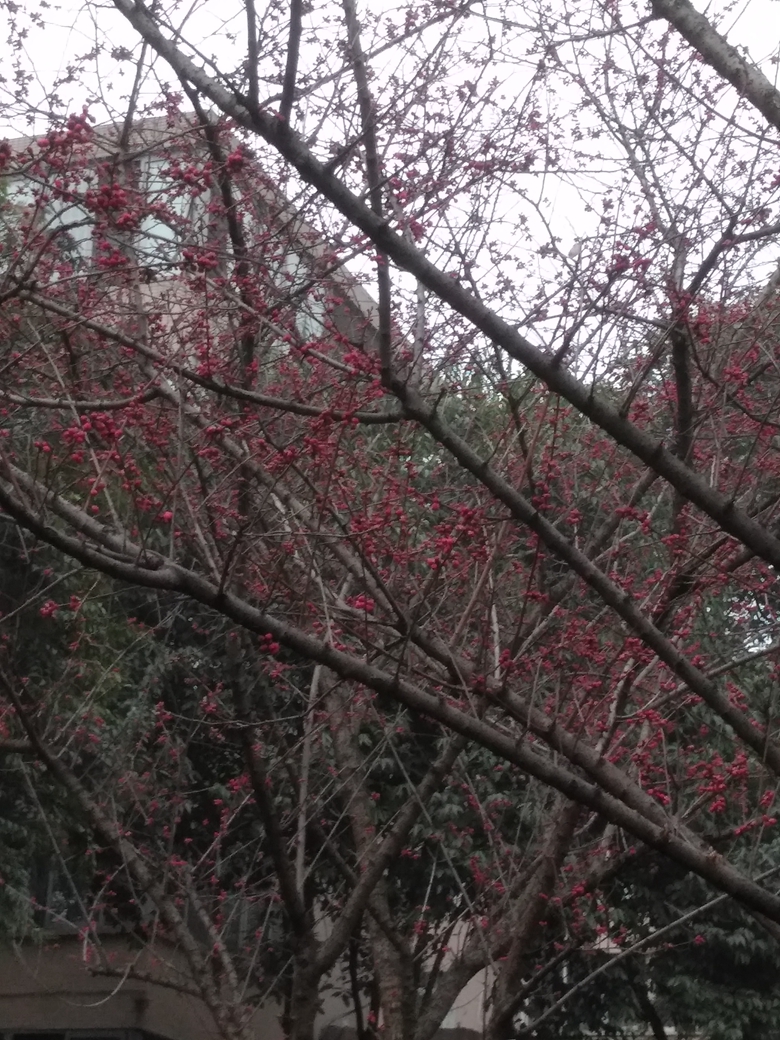 微信图片_20190131174145.jpg