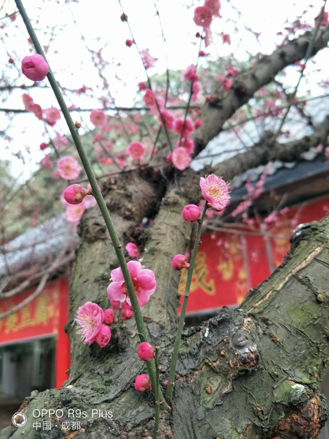 微信图片_20190131174023.jpg